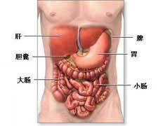 胃肠型食物中毒