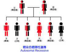 进行性脊肌萎缩症