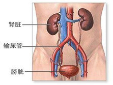 肾前性肾功能衰竭