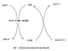 小儿亚硝酸盐中毒