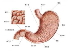 急性胃肠炎