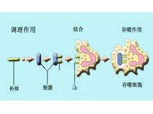 遗传性补体缺陷病