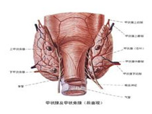 急性放射性甲状腺炎