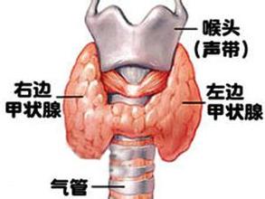 甲状腺功能异常伴发的精神障碍