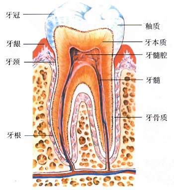 急性牙髓炎