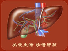 非酒精性脂肪肝病