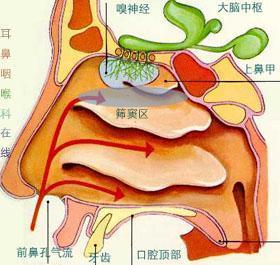 急性化脓性鼻窦炎