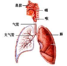 急性呼吸衰竭