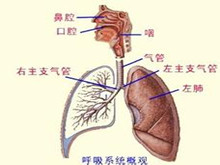 急性上呼吸道感染