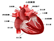 埃布斯坦综合征