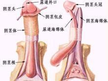 克兰费尔特综合征