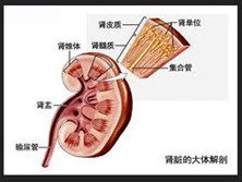 氨基酸代谢病