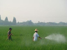 氨基甲酸酯类杀虫药中毒