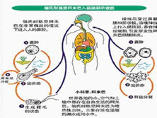 阿米巴性阴道炎