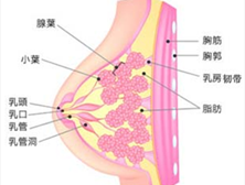 慢性乳腺炎