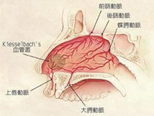 鼻外伤