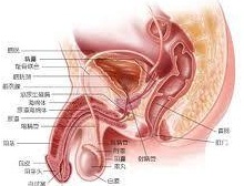 尿路刺激征