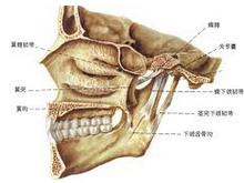 颞下颌关节炎