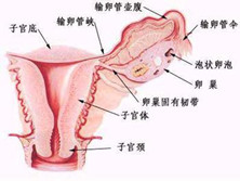 急性附件炎