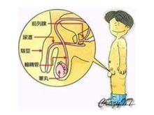 细菌性前列腺炎