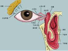 泪道阻塞