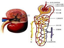 高钾血症