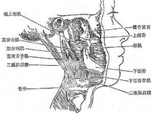 咽后间隙感染