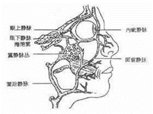 颜面部疖痈