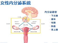 闭经性头痛