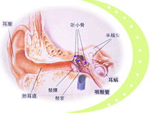 应激反应及适应障碍