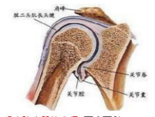 喙突胸小肌综合征