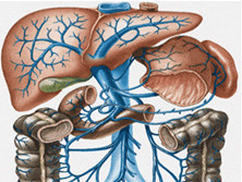 门静脉高压