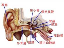 鼓膜穿孔