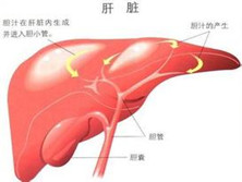 先天性肝纤维化