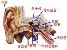 慢性化脓性中耳炎