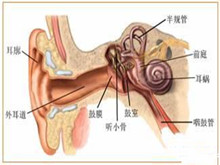 听小骨创伤