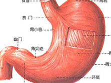 残窦综合征