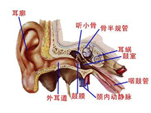 耳膜穿孔