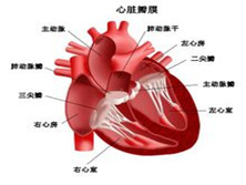 无症状型心肌缺血