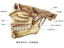颞骨和下颔骨关节异常