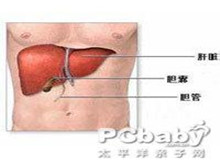 小儿α1-抗胰蛋白酶缺乏症