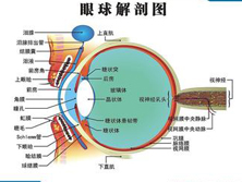 彼得异常