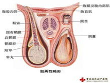 小儿两性畸形