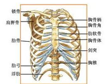 无菌性肋软骨炎