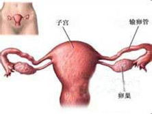 出血性输卵管炎