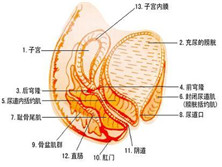 产后三急