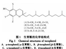 小儿维生素E缺乏病