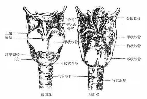 喉狭窄