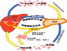 垂体前叶机能减退症