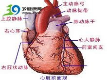 心血管疾病伴发的精神障碍